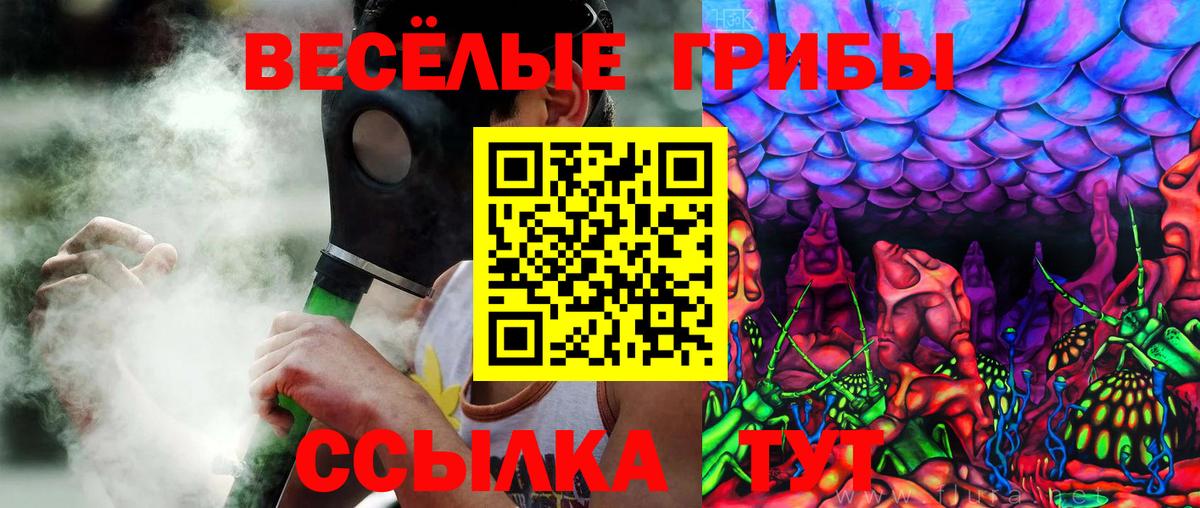Тулун  Галлюциногенные грибы мухоморы  Вход с VPN 